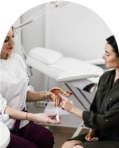 IUD/contraceptive options - Michelle Trandai MD in Chicago, IL