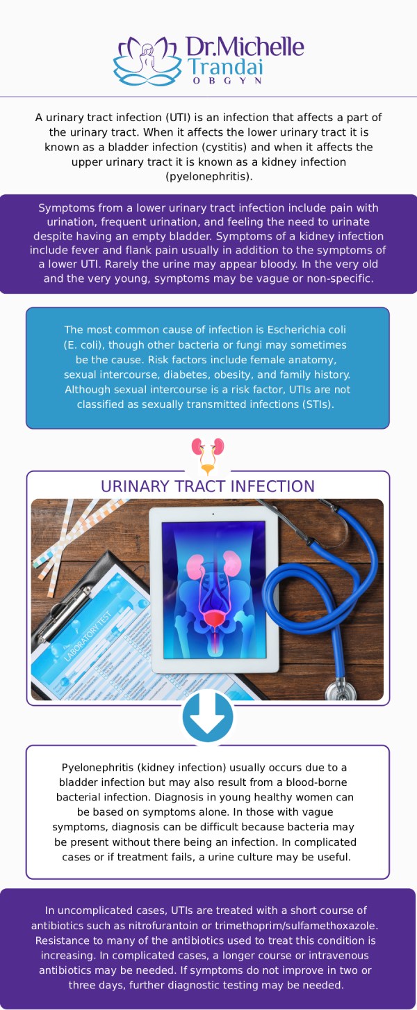 UTI treatment typically involves antibiotics to eradicate the bacterial infection and pain relievers to alleviate discomfort. Drinking water and urinating frequently can help flush out bacteria. Seeking medical advice from Dr. Michelle Trandai MD is crucial to ensure proper diagnosis and treatment of UTIs, especially in cases of recurrent infections or complications. Contact us for more information or request an appointment online. We are conveniently located at 5449 N Broadway, Chicago, IL 60640. UTI treatment typically involves antibiotics to eradicate the bacterial infection and pain relievers to alleviate discomfort. Drinking water and urinating frequently can help flush out bacteria. Seeking medical advice from Dr. Michelle Trandai MD is crucial to ensure proper diagnosis and treatment of UTIs, especially in cases of recurrent infections or complications. Contact us for more information or request an appointment online. We are conveniently located at 5449 N Broadway, Chicago, IL 60640.