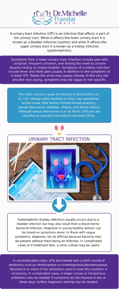 UTI treatment typically involves antibiotics to eradicate the bacterial infection and pain relievers to alleviate discomfort. Drinking water and urinating frequently can help flush out bacteria. Seeking medical advice from Dr. Michelle Trandai MD is crucial to ensure proper diagnosis and treatment of UTIs, especially in cases of recurrent infections or complications. Contact us for more information or request an appointment online. We are conveniently located at 5449 N Broadway, Chicago, IL 60640. UTI treatment typically involves antibiotics to eradicate the bacterial infection and pain relievers to alleviate discomfort. Drinking water and urinating frequently can help flush out bacteria. Seeking medical advice from Dr. Michelle Trandai MD is crucial to ensure proper diagnosis and treatment of UTIs, especially in cases of recurrent infections or complications. Contact us for more information or request an appointment online. We are conveniently located at 5449 N Broadway, Chicago, IL 60640.